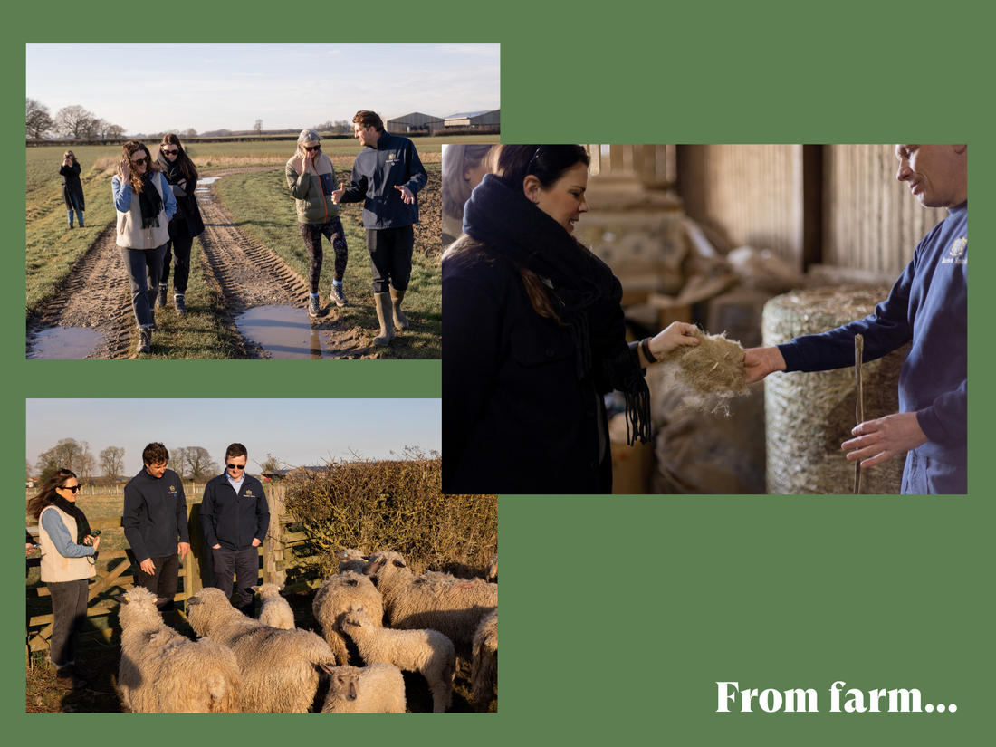 Floks visiting their mattress partner Harrison Spinks