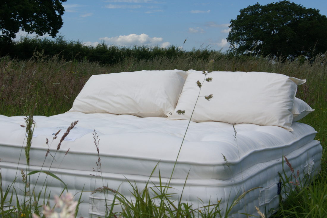 Our sleep needs shift as our lives move