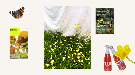 Field Notes: The summer shift