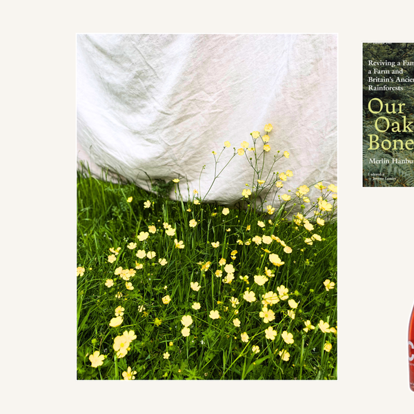 Field Notes: The summer shift