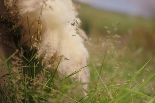 Why sustainability matters in bedding