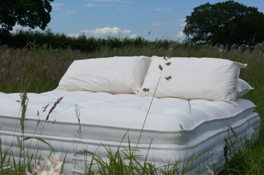 Our sleep needs shift as our lives move